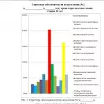 Иллюстрация №1: Острое нарушение мозгового кровообращения. Тактика фельдшера в диагностике и лечении (Дипломные работы - Медицина).